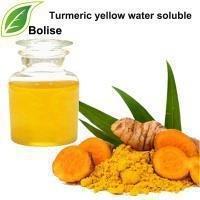 China Water Disperse Emulsification Turmeric Yellow Water Soluble for sale