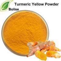 China Natural Yellow Turmeric Curcumin Extract Powder for sale