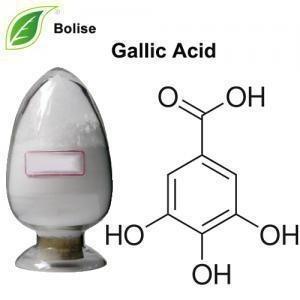 China Gallic Acid Galla Chinensis 149-91-7 C7H6O5 Pharma Herbal Extract for sale