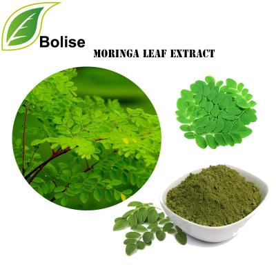 China Antibacterial Moringa Oleifera Plant Herbal Extract For Wounds for sale