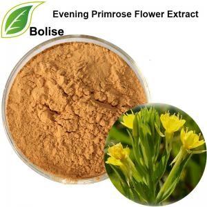 China 10/1 Evening Primrose Flower Extract Cosmetics Ingredients for sale