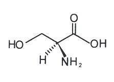 China C3H7NO3 L-Serine 56-45-1 Reagent Test Kit for sale