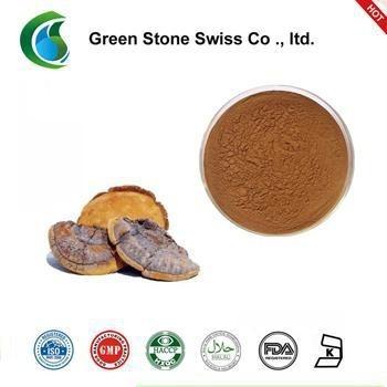 China Phellinus Igniarius Extract for sale