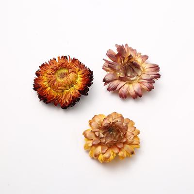 China Vintage Color Epoxy Natural Chrysanthemum Flower Peach Flower Cute Dangle Earring Natural Dry Handmade Diy Accessories for sale