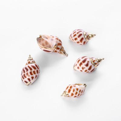 China Factory Direct Selling Vintage Small Pure Natural Conch Gold Plated High Quality Marine Pendant Shell Diy Jewelry For Accessories for sale