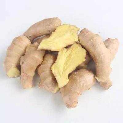 China China Fresh Natural Fresh Ginger Price Organic Suppliers Hot Selling 100% for sale