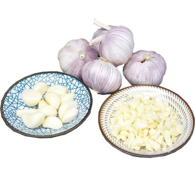 China China High Quality New Culture Imported Garlic Fresh Fresh Garlic Low Price for sale