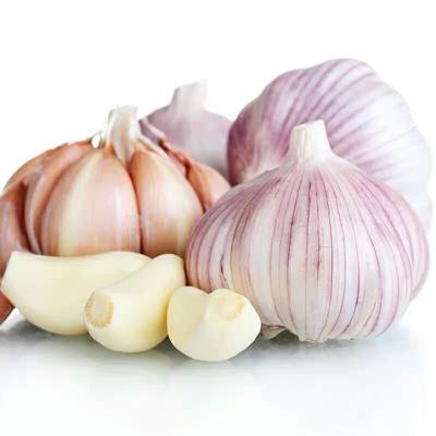 China China Fresh Natural White Garlic Natural Garlic White for sale