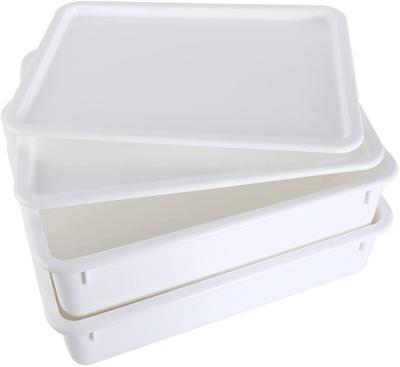 China Pizza Dough Viable Plastic Box for sale