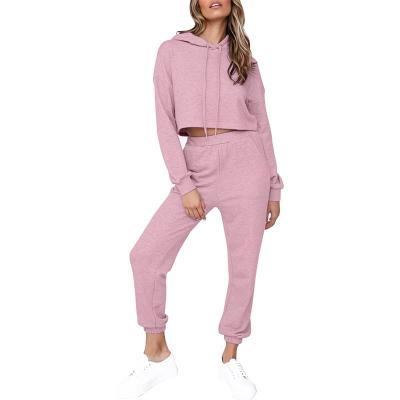 China QUICK DRY QUICK DRY Drop Two Piece Hooded Tracksuit, Women's Jogging Suit, Women's Fitness Suit. for sale