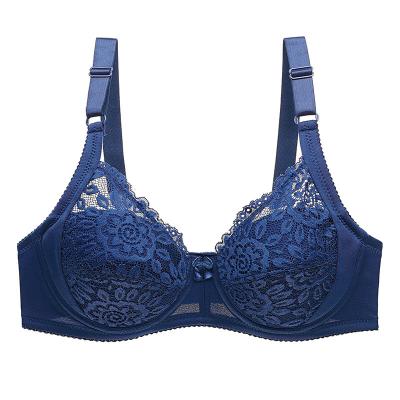 China Breathable Sexy Thong Bra Set Lace Since Perspective Underwear Set for sale