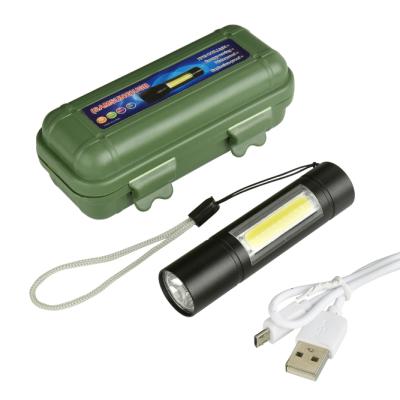 China Hot 2021 5w Camping Led Lights High Power Led Torch Light Background Led Mini Flashlight for sale