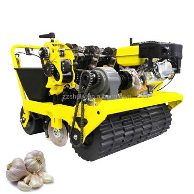 China Agricultural Seed Garlic Two Row Garlic Planter Seed Planter With Gasoline Engine for sale