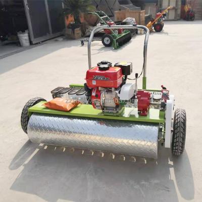 China Manual Raddish Vegetable Seed Planting Machine Sembradora Seeder For Vegetable for sale