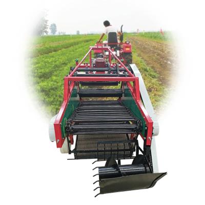 China New Design Sweere Peanut Harvester Small Peanut Harvester Chain for sale