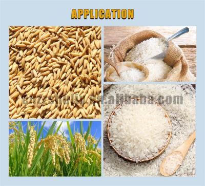 China Mini Farms Rice Mill Machine Rice Pitter Machine Rice Mill For Paddy for sale