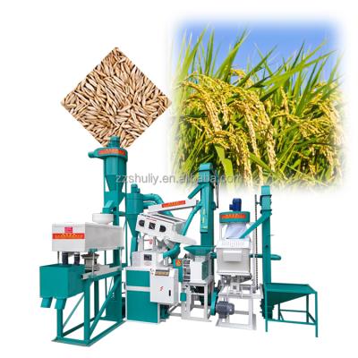 China Modern Small Farms Rice Mill Machinery Price Rice Mill Polisher Rice Mill for sale