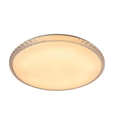 China Low Price Kids Bedroom Shop 12W 24W 36W 60W Decorative Outdoor Mounted LED Panel Ceiling Modern Round Lamp for sale