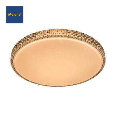 China Factory Price Shade Plastic Iron Bedroom Office 12W 24W 60W Outdoor Mounted Low Panel Ceiling Light for sale