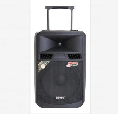 China Video Display Information TEMEISHENG Sound System Outdoor Radio Powered Speaker for sale