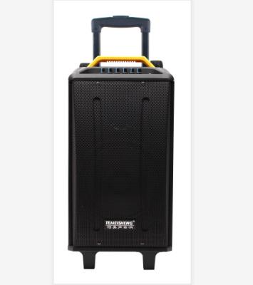 China Temeisheng Trolley Video Portable Private Model Loudspeaker Large Display Information Power Loudspeaker for sale