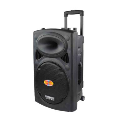 China No TEMEISHENG High Quality Rechargeable Power Big Power Professional Active Speaker for sale