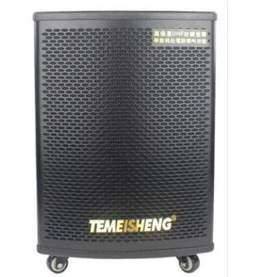 China None TEMEISHENG Professional High Power Trolley Active Rechargeable Wooden Speakers for sale