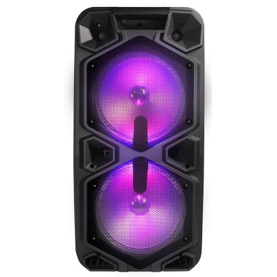 China Temeisheng Video Karaoke Portable Information Display Professional Powered Audio Speaker for sale