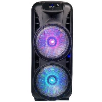 China Wireless Dual 12 Inch Powered 2.0 TWS Active PA System Rechargeable Speaker With Karaoke BT-Connection Function for sale