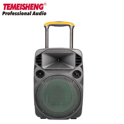 China 15 Inch Video Display Information Portable Trolley Speaker With Disco Light for sale