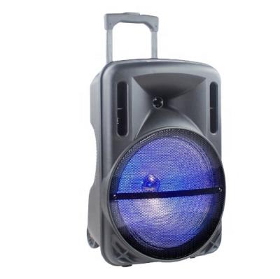 China No Temeisheng 12 Inch TWS Wireless 2022 Player Trolley Speaker Audio Sound System for sale