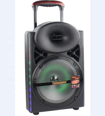 China No Temeisheng 12 Inch Outdoor Powerful USB Fm Radio Powerful BT-Linked Trolley Rechargeable Speakers With Wheels for sale