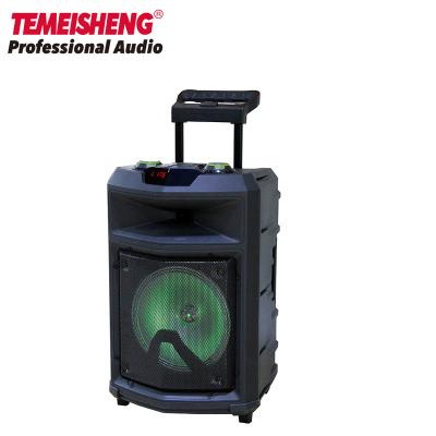 China Temeisheng Display Information Karaoke Video Professional Wireless DJ Cart Wireless Sound PA Outdoor Activities Multimedia Speakers Battery Powered for sale