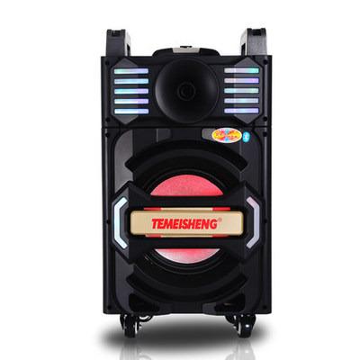 China Video Information Display Temeisheng 12 INCH Wooden Rechargeable Trolley Speaker With BT-Connected RGB Light for sale