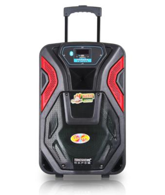 China Temeisheng PORTABLE BT5.0 Woofer Drivers Support Rechargeable Cheaper Amplifier and FM BT-Connected Trolley Speaker FM Speaker for sale