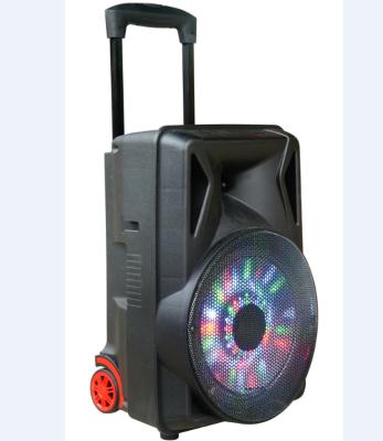 China No Temeisheng New Products 12 inchPortable Trolley Speaker, BT Speaker Fm Radio, Speaker With Ball Light for sale