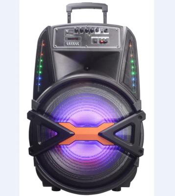 China No 2022 Summer Party Temeisheng 15inch DJ Hour Home Theater Sound System Rechargeable Boombox Party Audio Speaker for sale