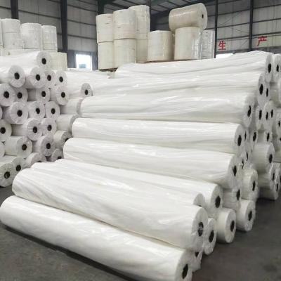 China Waterproof Biodegradable Plant Cover Keep Moisture Protecting Mat PP Non Woven Agriculture To Use Nonwoven Fabric for sale