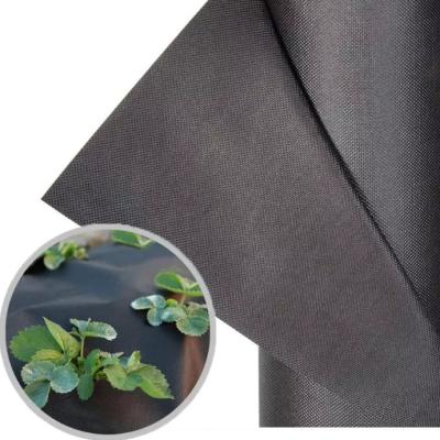 China Bulk Waterproof UV Agricultural Blanket Anti Woven Cloth Non Woven Fabric Weed Mat Weed Mat From Factory for sale