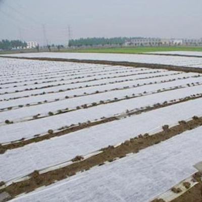 China 3% Protective Nonwoven Ground Cover Anti UV Waterproof Agricultural Nonwoven Cloth Mulch for sale