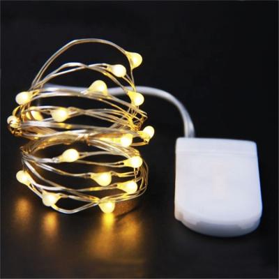 China Liangliang CR2032 Powered LED Copper Wire String Lights Bottle Light TX2 for sale