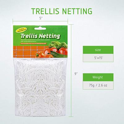 China 6 Feet Trellis Netting Support Netting For Flowers/4 Feet Cucumber Plant Strawberry Protection Crop Support Net For Agriculture BTR-TN003 for sale