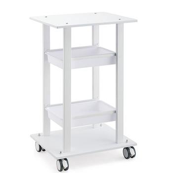 China Clean Hot Sale Portable Beauty Trolley Storage Trolley Facial Beauty Trolley for sale