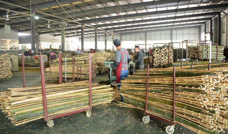 Verified China supplier - Shenzhen Magic Bamboo Industrial Co., Ltd.