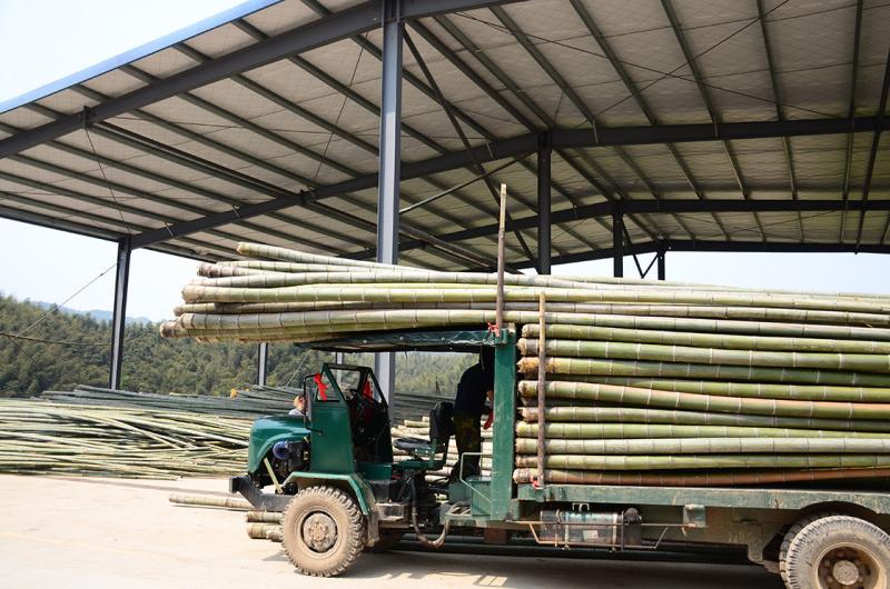 Verified China supplier - Shenzhen Magic Bamboo Industrial Co., Ltd.