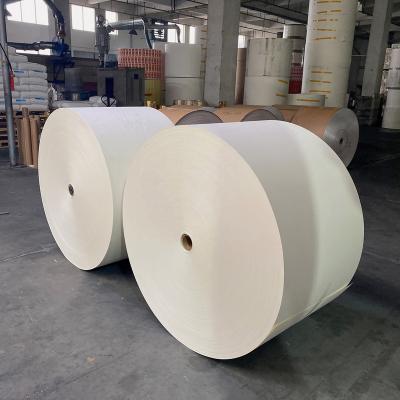 China Food Grade 280gsm Waterproof PE Coated Paper Coffee Cup Raw Materials Paper Rolls For Making Paper Cups De Rolls Pe Layer Paper Lined Paper for sale