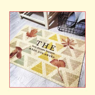 China Stain Resistant PVC Door Mat Dirty Door Mat Entrance Door Mat Original Design for sale