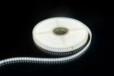 China 20m/reel 5050 LED Strip 24V Cold White, Warm White for sale