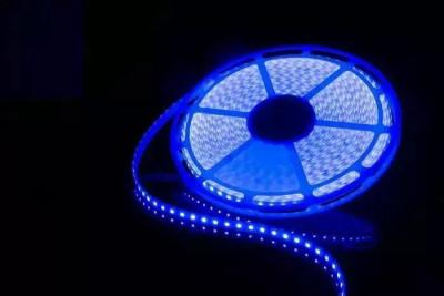 China Newest Patented 20m/reel 5050 RGB LED Strip 24V No Volt Drop for sale