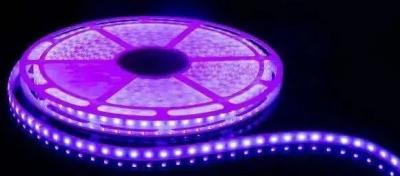 China Newest 20m/reel 5050 RGB LED Strip No Volt Drop 24V 60LEDs/m for sale